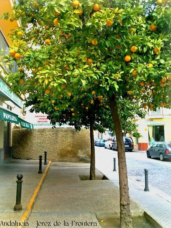 Al Andalus Jerez Hotel Jerez de la Frontera